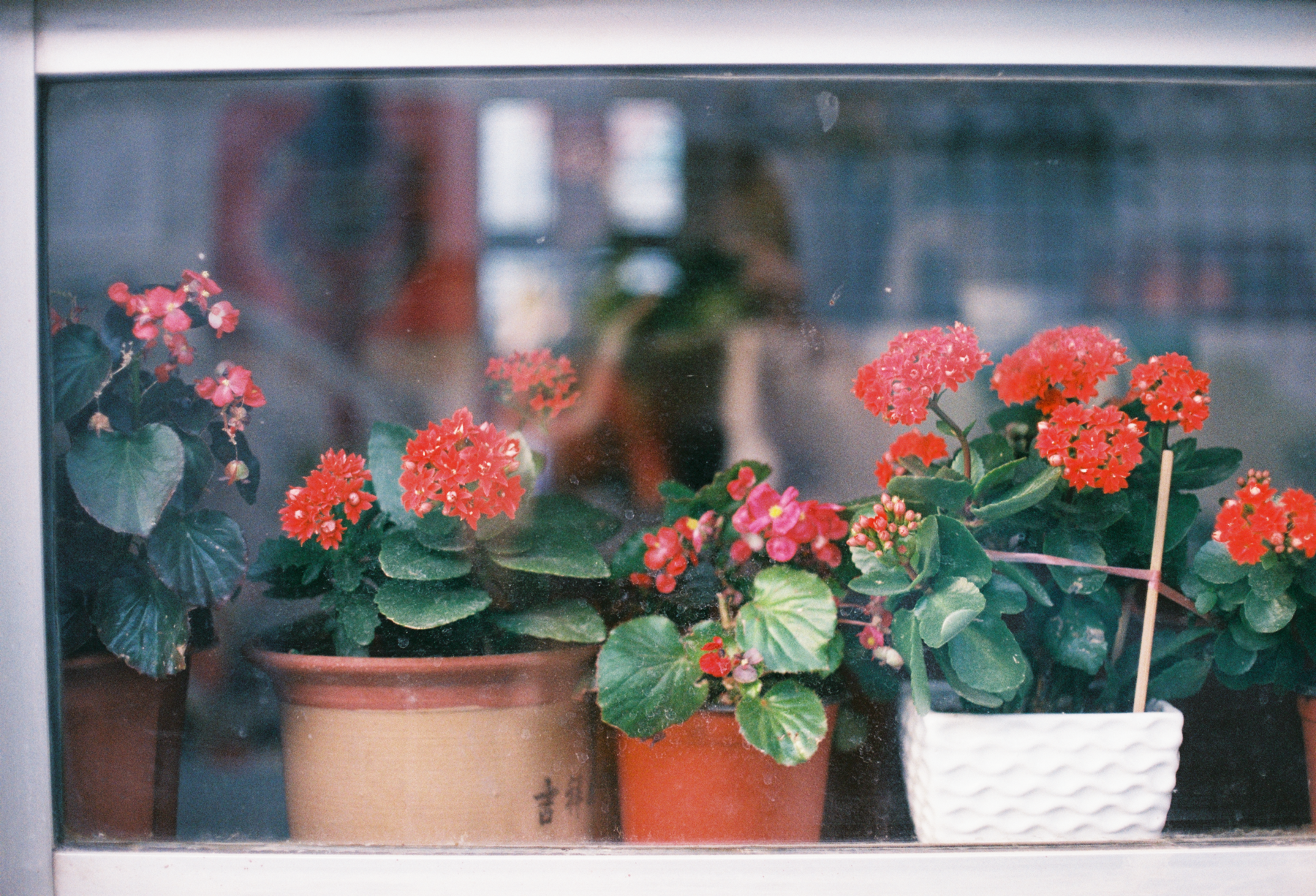 胡同中的日常瞬间 星星 3