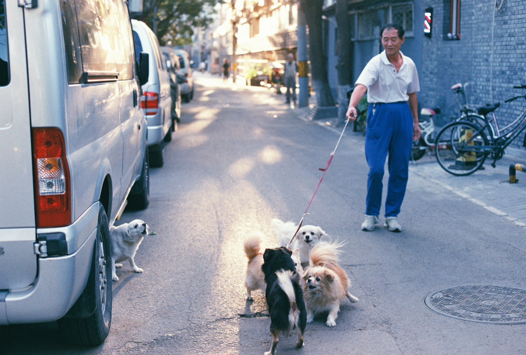 胡同中的日常瞬间 太阳 8