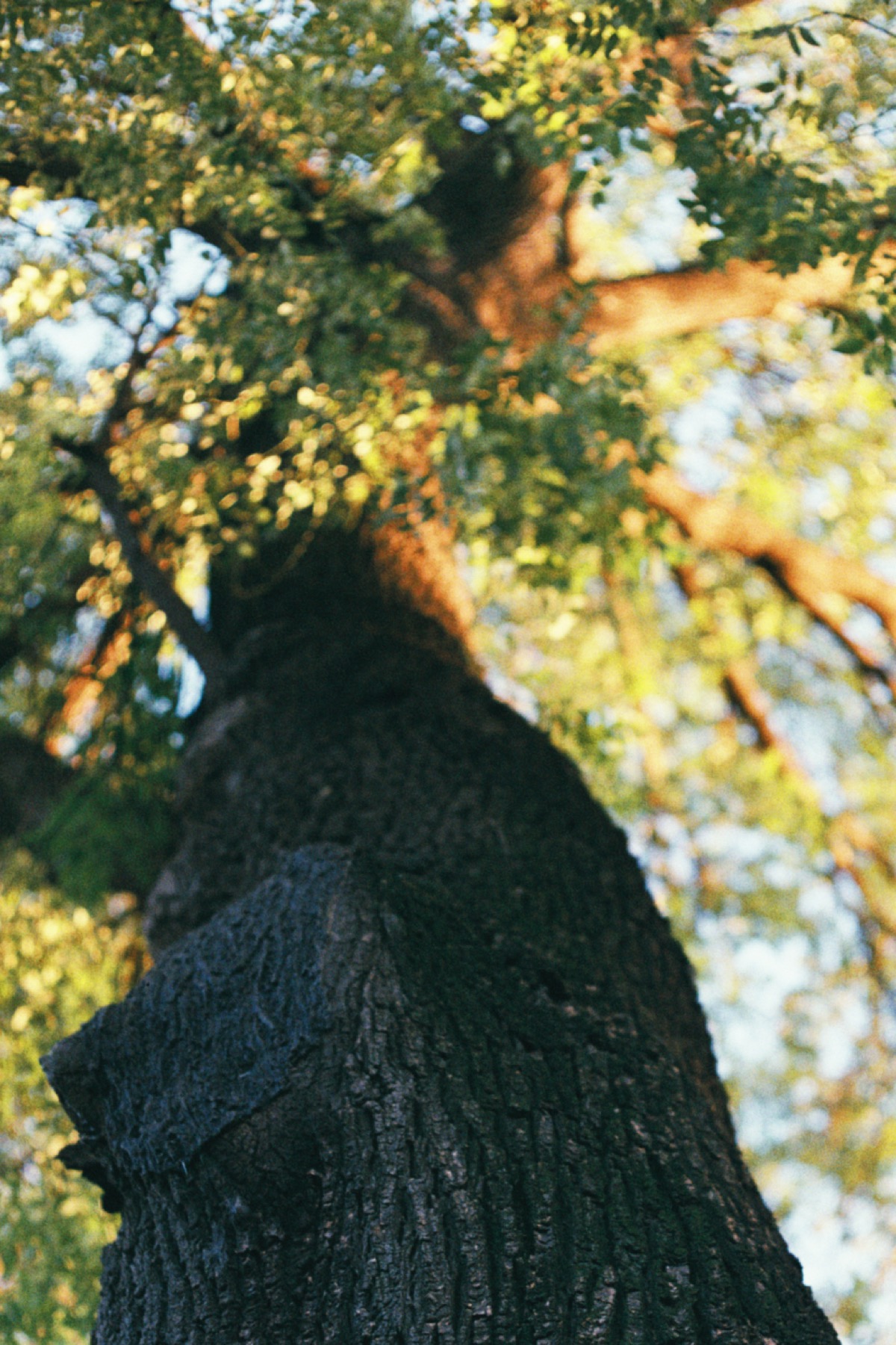 胡同中的日常瞬间 太阳 9